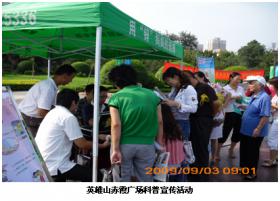 利用節假日組織宣傳活動(dòng)