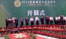 我公司參加＂2012年恩施硒茶文化藝術(shù)節＂