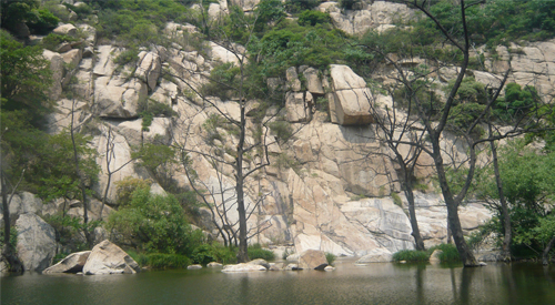 枯樹(shù)臨水